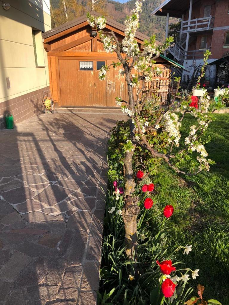 Appartamento Luminoso, Giardino, Vista Dolomiti. Baselga di Pine Bagian luar foto