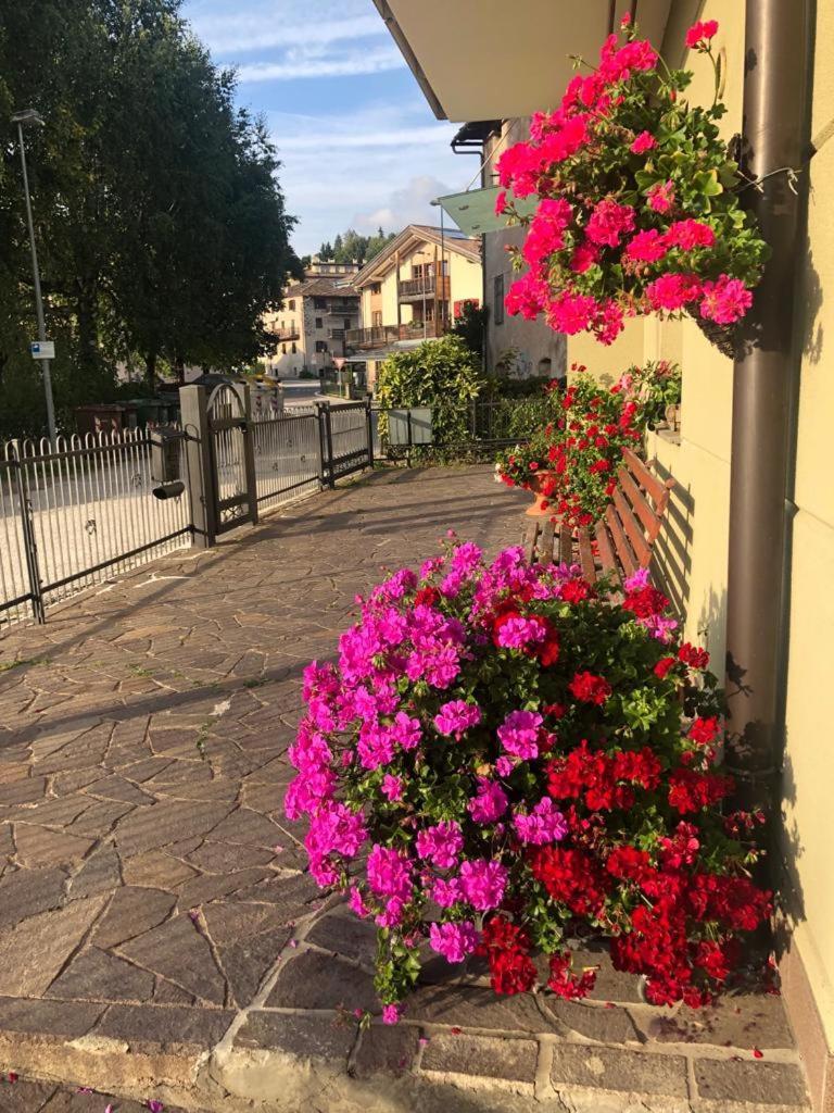Appartamento Luminoso, Giardino, Vista Dolomiti. Baselga di Pine Bagian luar foto